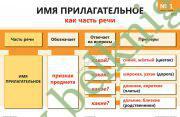 Опорно-аналитические таблицы и алгоритмы по русскому языку. Имя прилагательное (14 шт.)